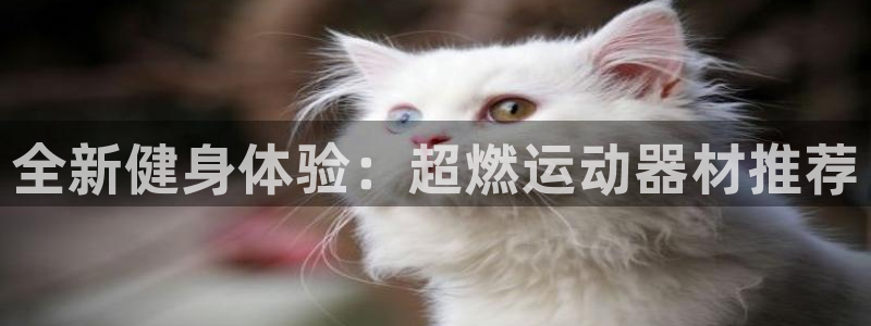 xk星空体育官网下载平台注册流程图:全新健身体验:超燃运动器