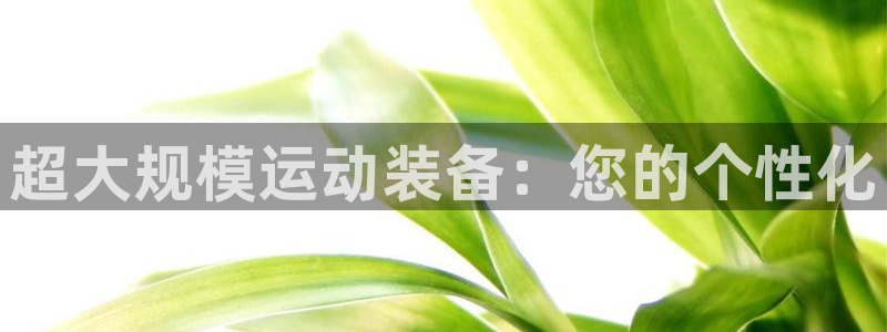 xk星空体育官网下载招商电话地址是多少:超大规模运动装备:您