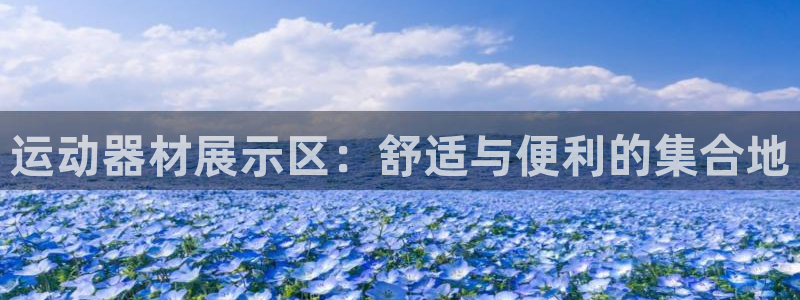 xk星空官方平台体育:运动器材展示区:舒适与便利的集合地